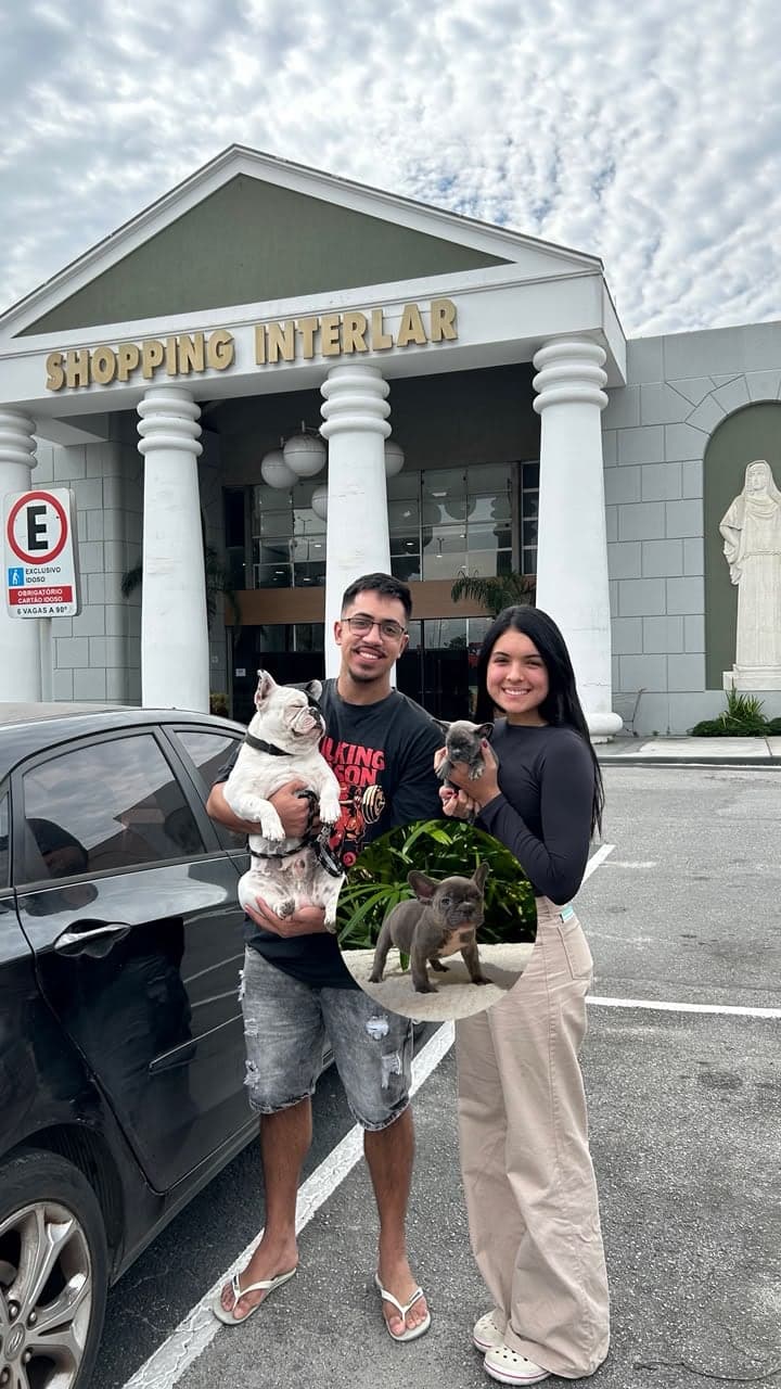 Casal com seu Bulldog Francês adulto e o novo filhote de Bulldog Francês