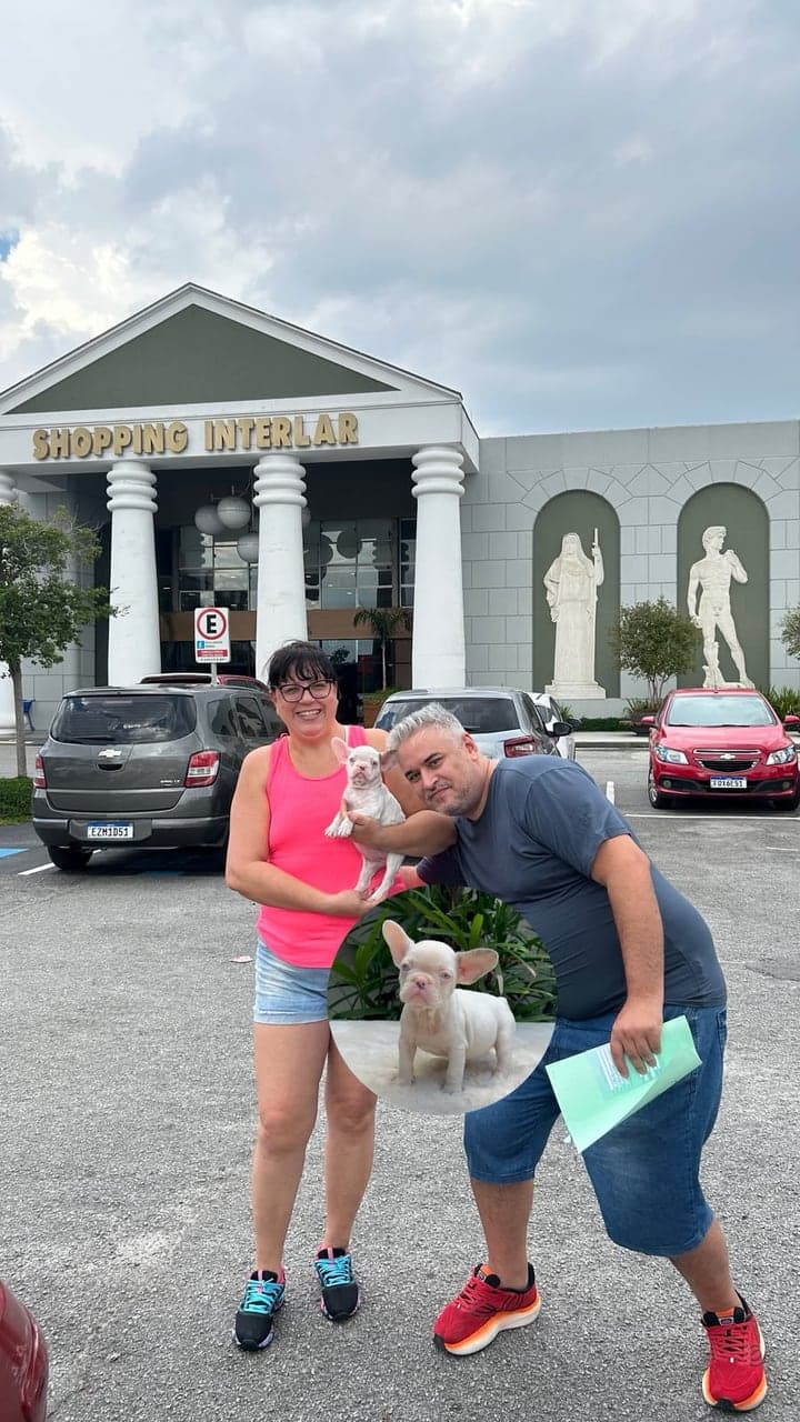 Casal recebendo um filhote de Bulldog Francês claro