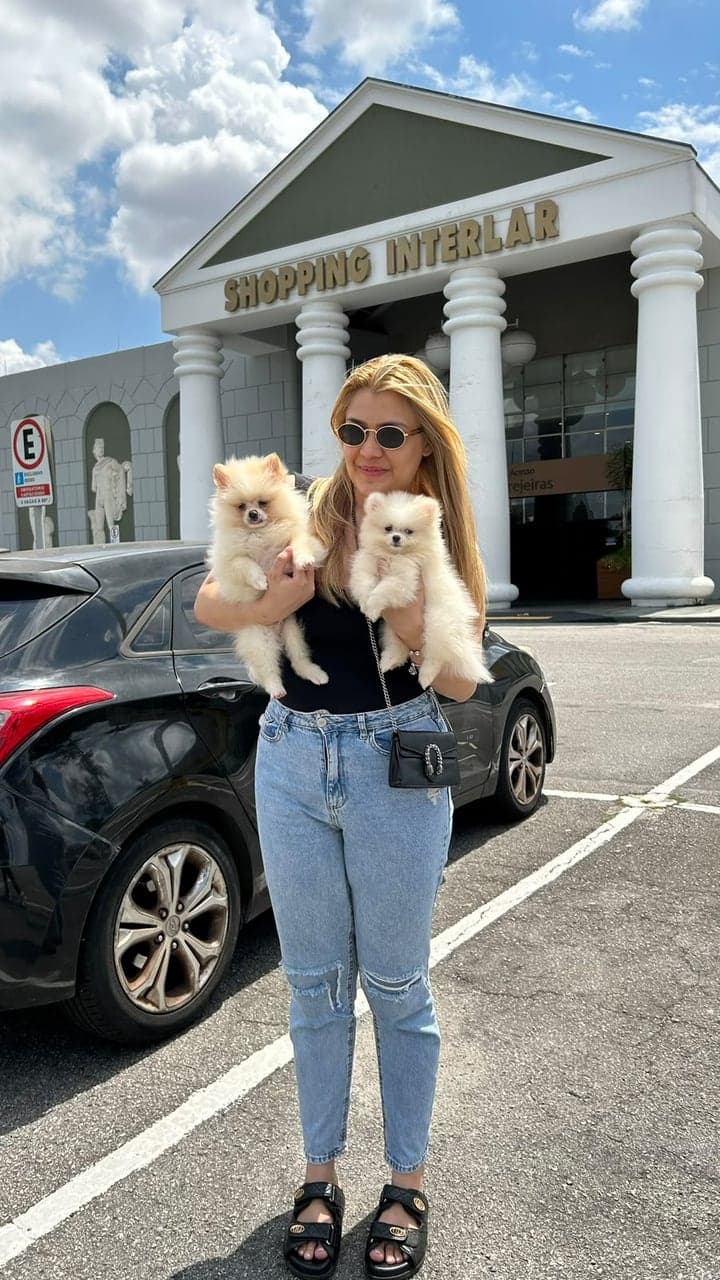 Tutora segurando dois filhotes de Lulu da Pomerânia creme