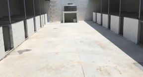 Área externa do canil com piso limpo e baias de alvenaria dos dois lados